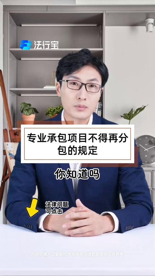 专业承包项目不得再分包的法律规定与实务解析
